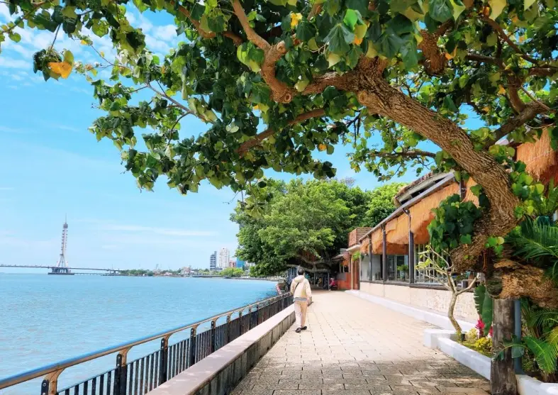 台灣無障礙旅遊