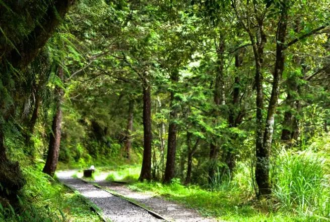 宜蘭景點推薦 宜蘭景點推薦
