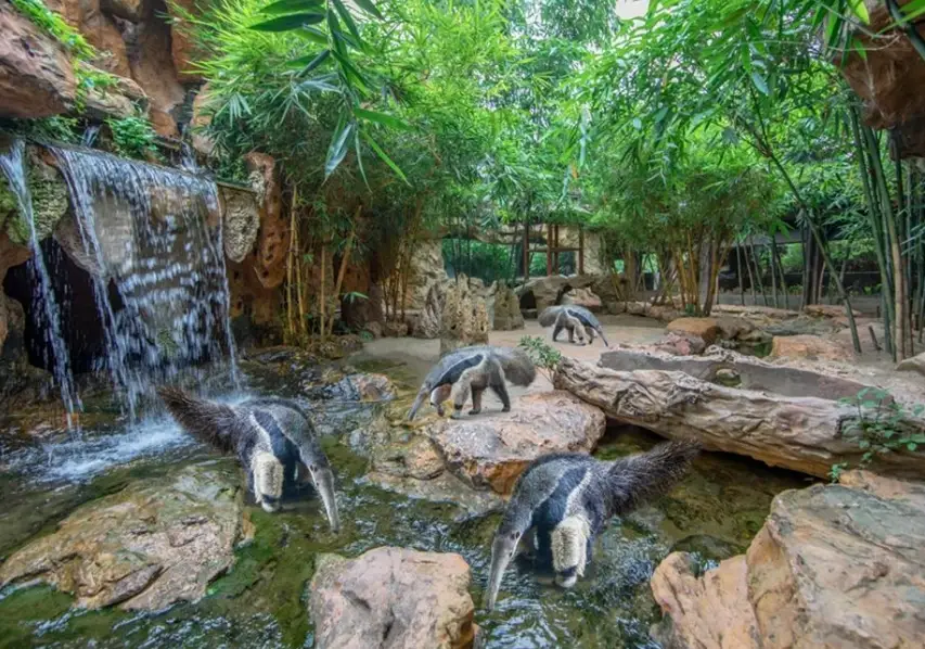 長鹿旅遊休博園