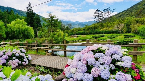 武陵農場一天來回攻略：行程規劃、交通與必玩景點