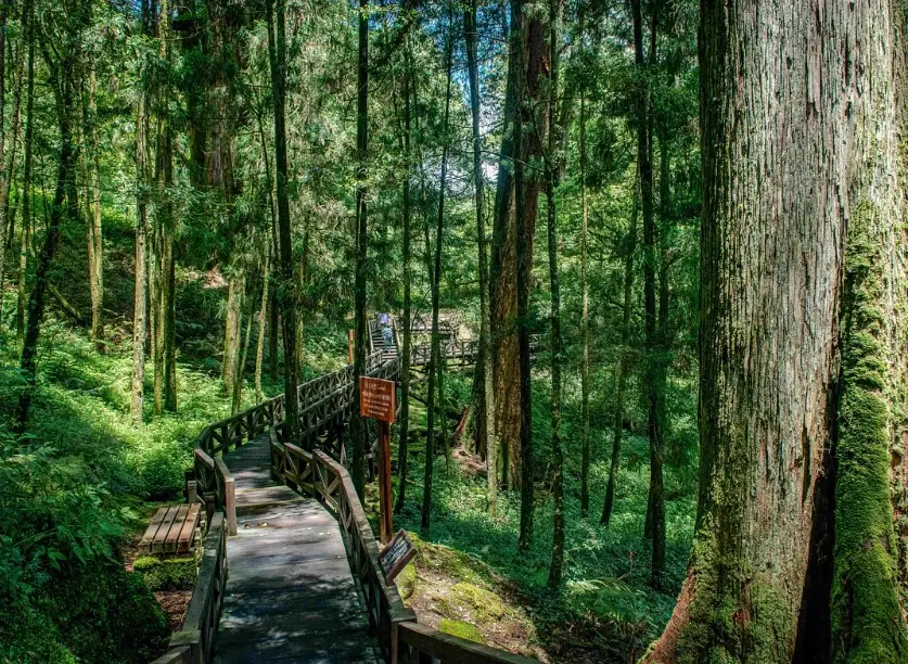 銀髮族旅遊 銀髮族旅遊