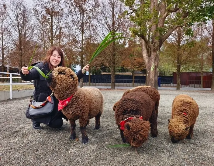二崙鄉親子景點