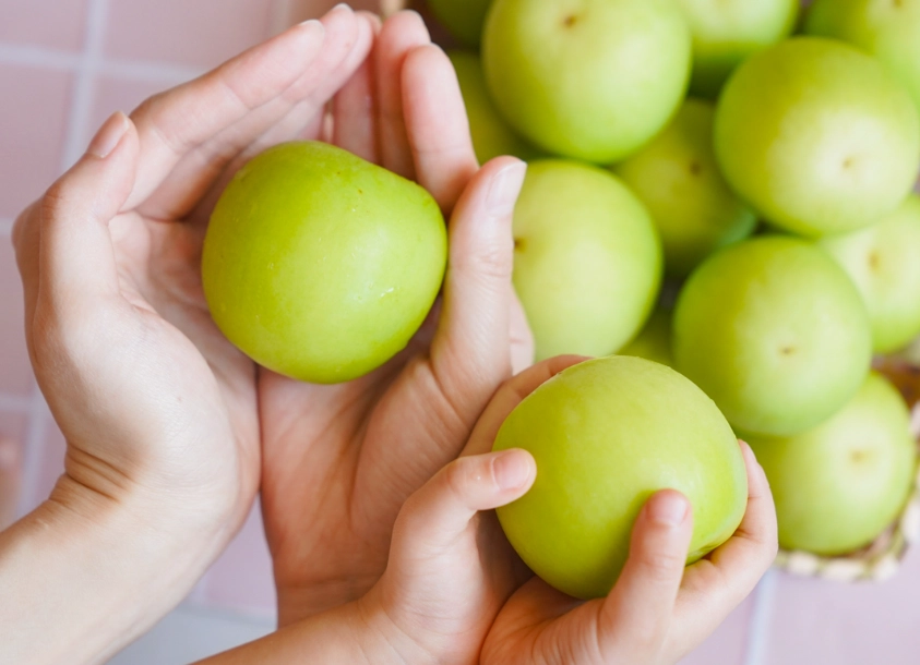 蜜棗好處 蜜棗好處