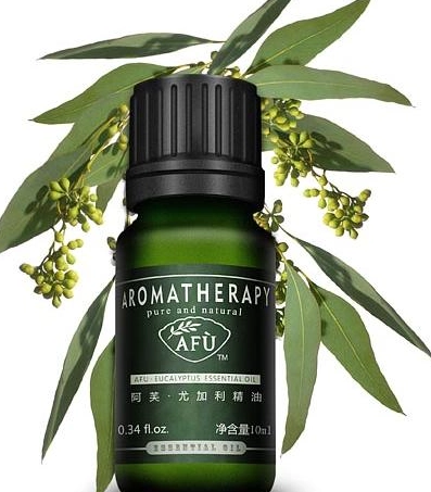 尤加利精油加水全攻略：安全用法、黃金比例與居家必備應用