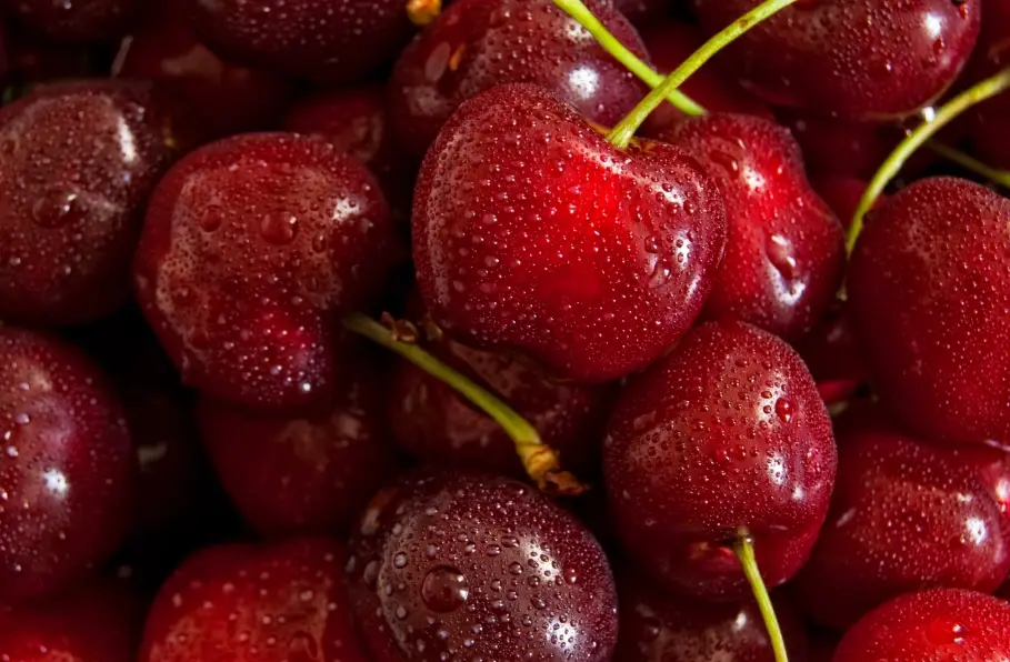 櫻桃挑選技巧 櫻桃挑選技巧
