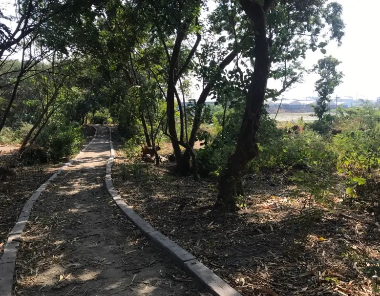 二崙鄉親子景點