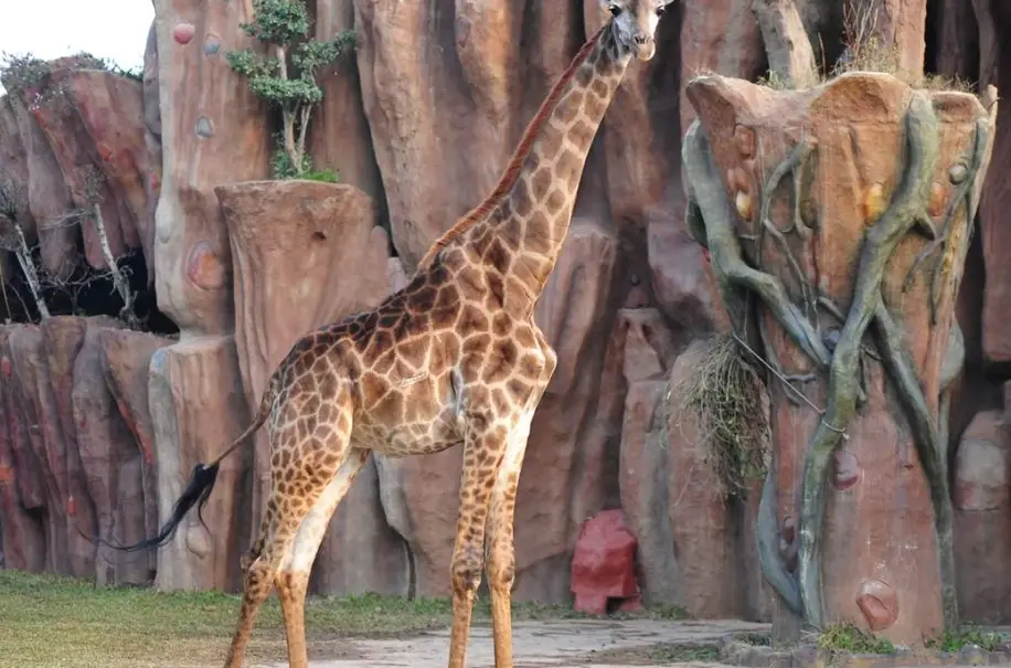 旅遊休博園地圖