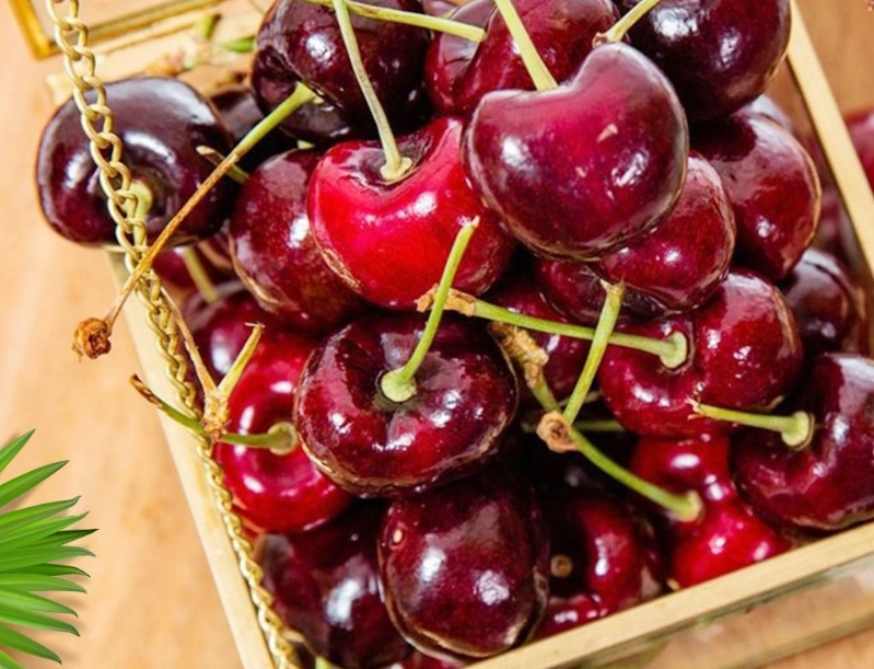 櫻桃挑選技巧 櫻桃挑選技巧