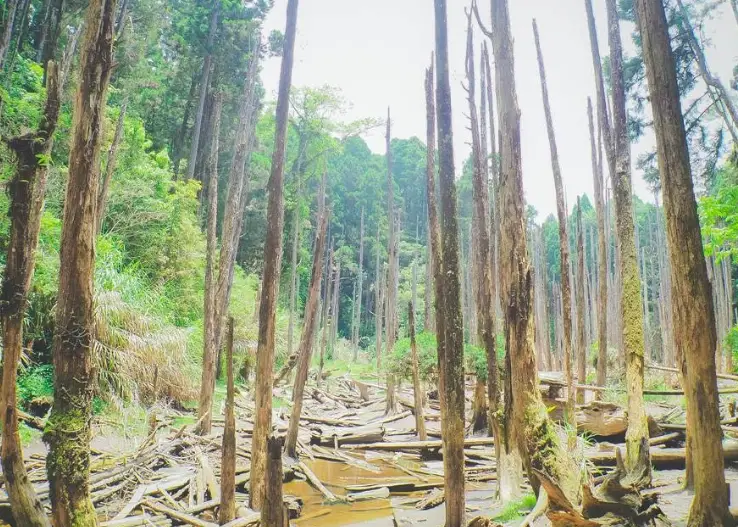 台灣秘境清單：內行玩家才知道的5個絕美隱藏景點