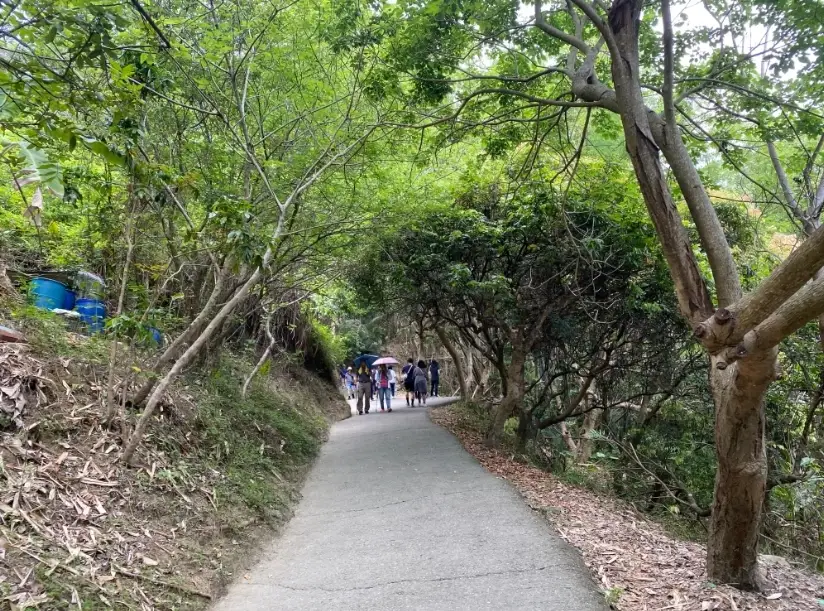 台中私房景點全攻略：在地人帶路避開人潮的隱藏去處