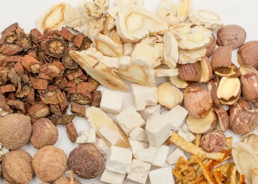 黃耆麥冬茶功效全解析：補氣潤肺、增強免疫的日常養生秘方