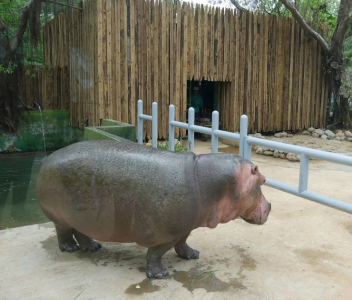 新竹動物園門票 新竹動物園門票