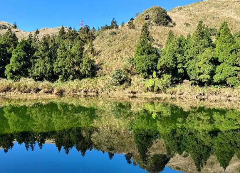 台北森林秘境全攻略：步道交通、隱藏景點與避坑指南