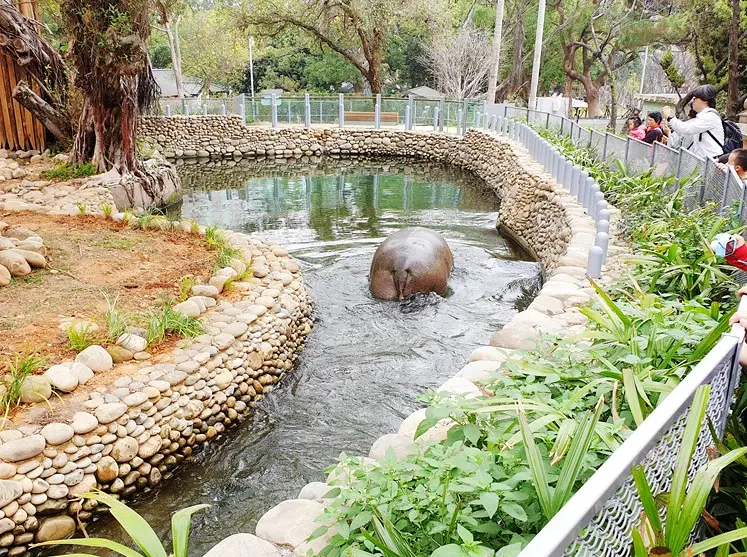 新竹動物園門票 新竹動物園門票