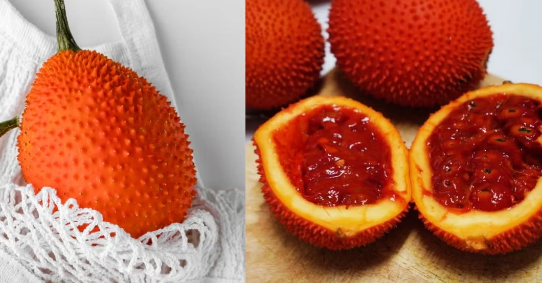 木鱉果 禁忌 木鱉果 禁忌