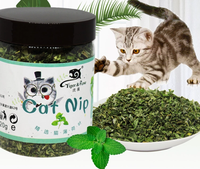 貓薄荷 使用年齡 貓薄荷 使用年齡