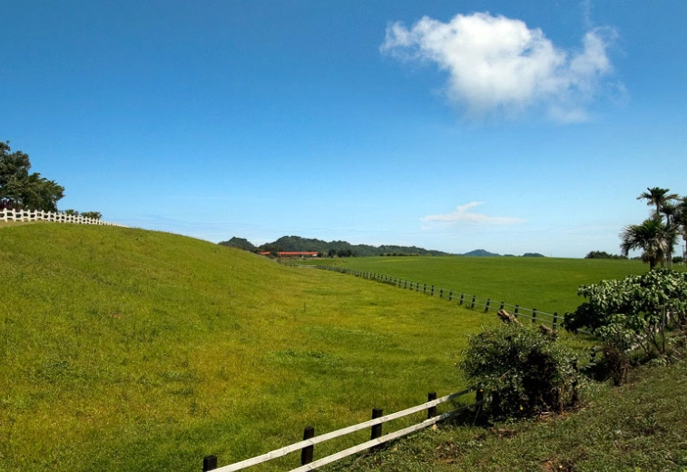 台東親子一日遊