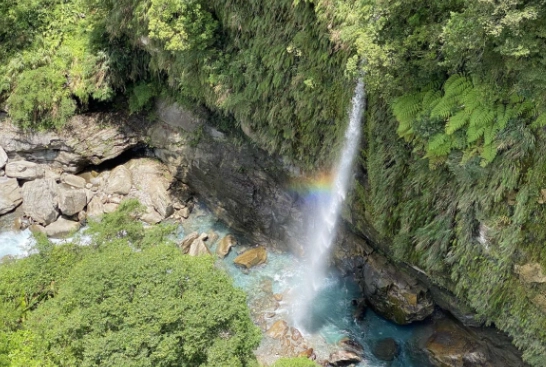 台東知本親子景點全攻略：溫泉、森林、牧場一次玩透