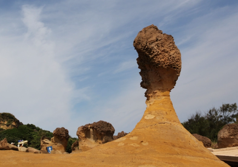 野柳交通 野柳交通