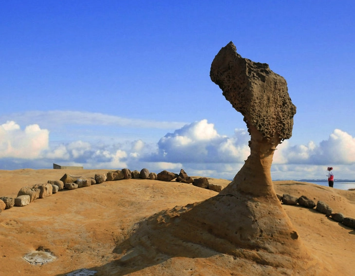 野柳一日遊 野柳一日遊