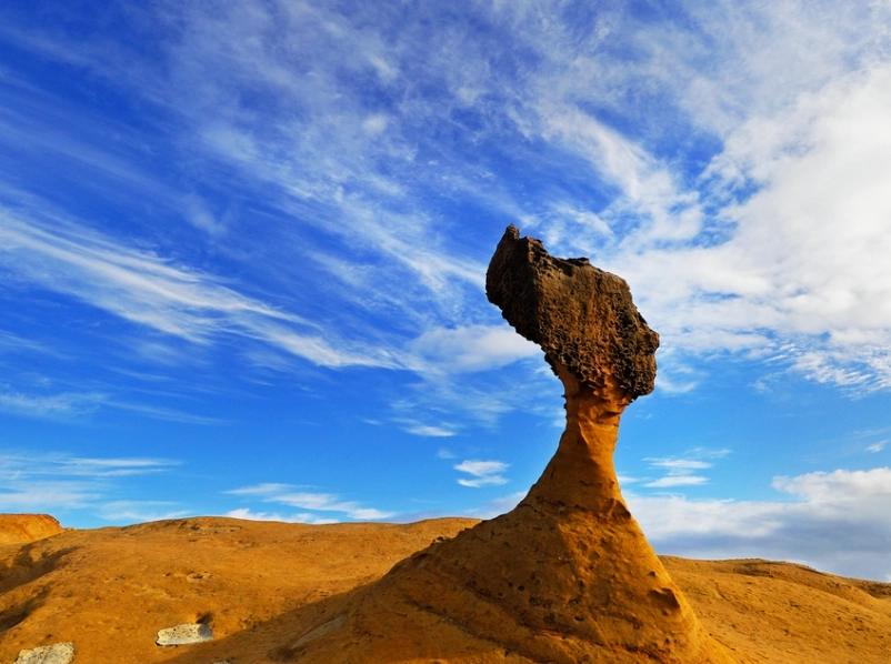 野柳交通 野柳交通