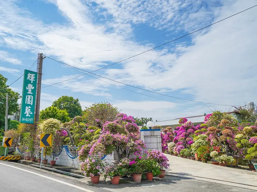 彰化適合長輩的景點