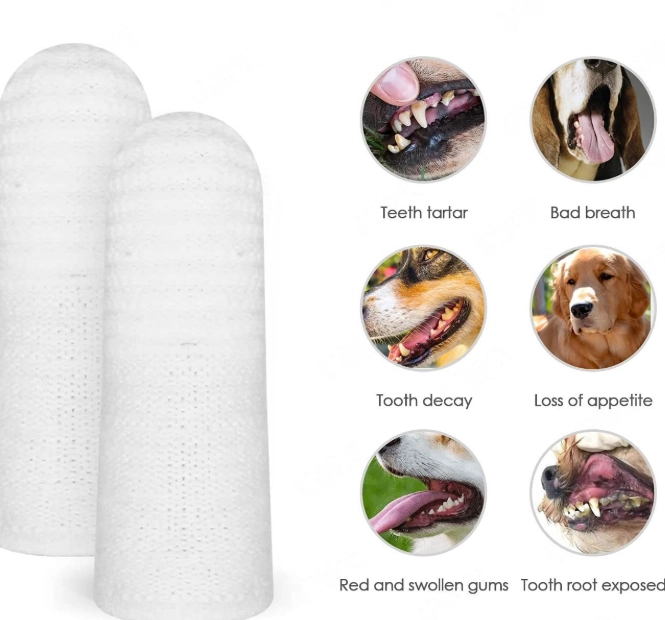 貓咪刷牙教學 貓咪刷牙教學