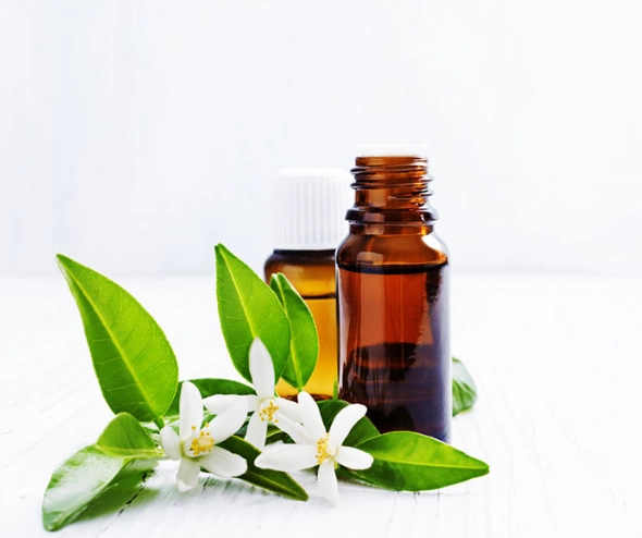 甜橙精油用法 甜橙精油用法