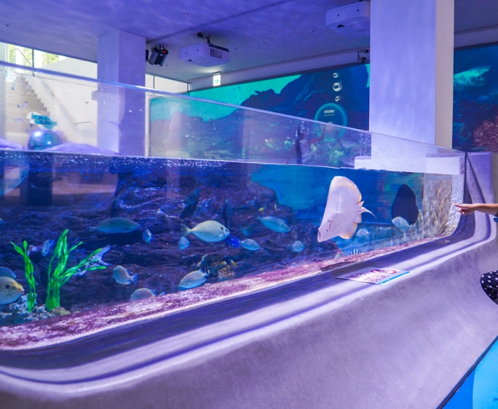 潮境智能海洋館