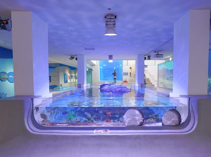 八斗子新景點全攻略：潮境智能海洋館、車站海景與私房路線