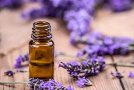 薰衣草精油配方