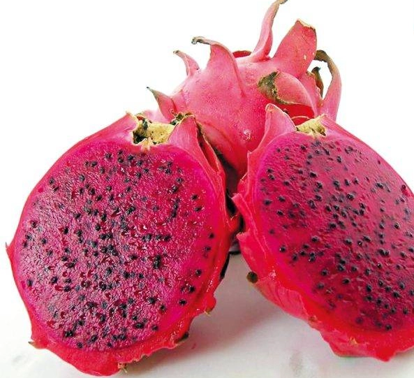 紅肉火龍果挑選