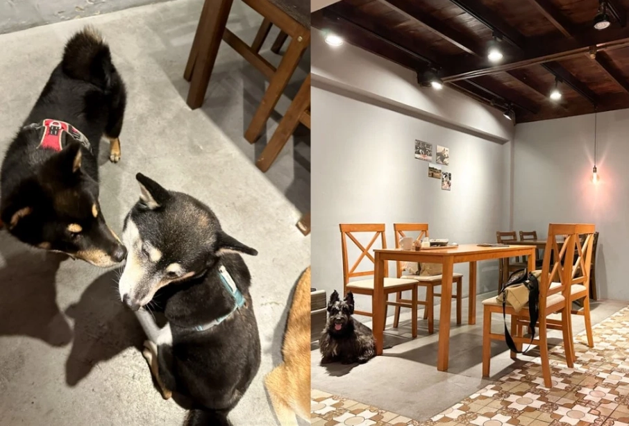 嘉義狗狗友善餐廳 嘉義狗狗友善餐廳
