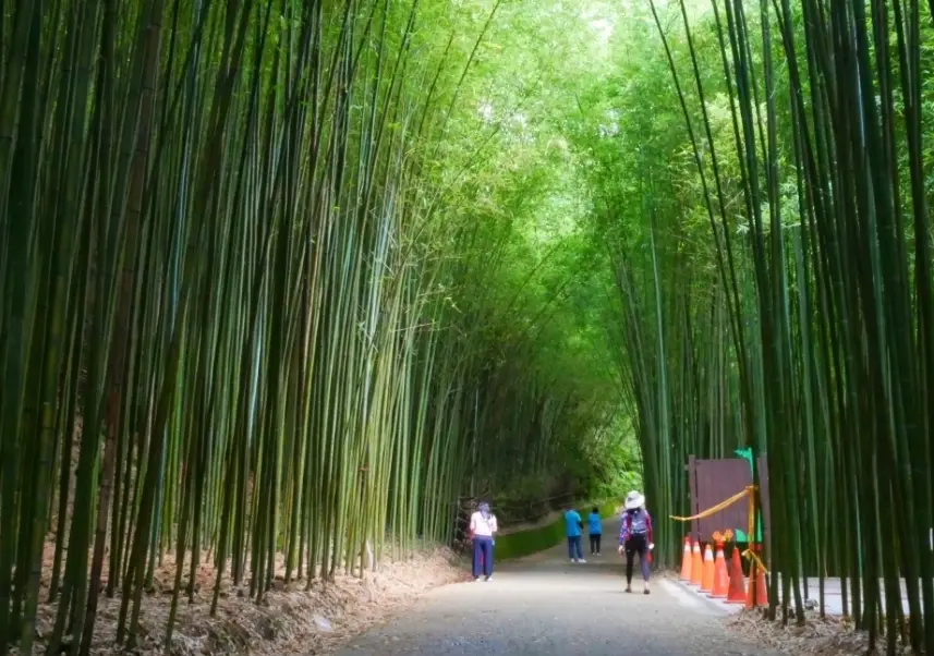 苗栗親子景點 苗栗親子景點