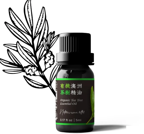 自製精油舒緩乾咳 自製精油舒緩乾咳