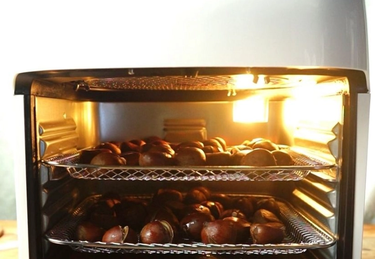 氣炸鍋食譜 氣炸鍋食譜
