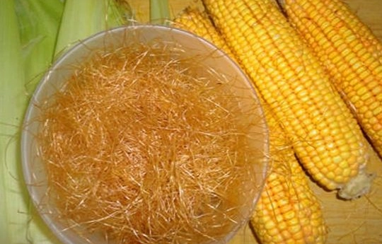玉米鬚煮水 玉米鬚煮水