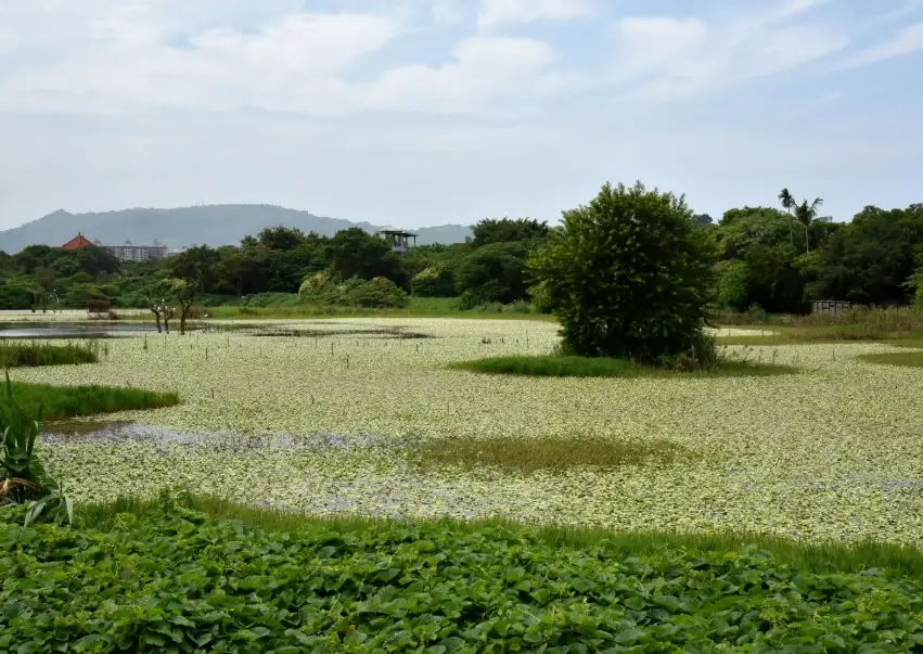 高雄戶外景點 高雄戶外景點