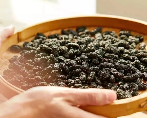 桑椹乾好處 桑椹乾好處