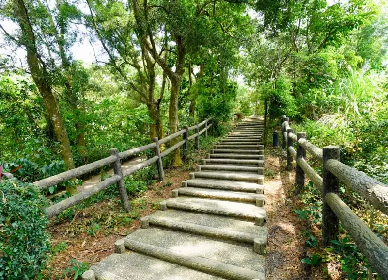 龍過脈森林步道怎麼去