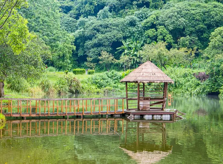 桃園秘境景點 桃園秘境景點