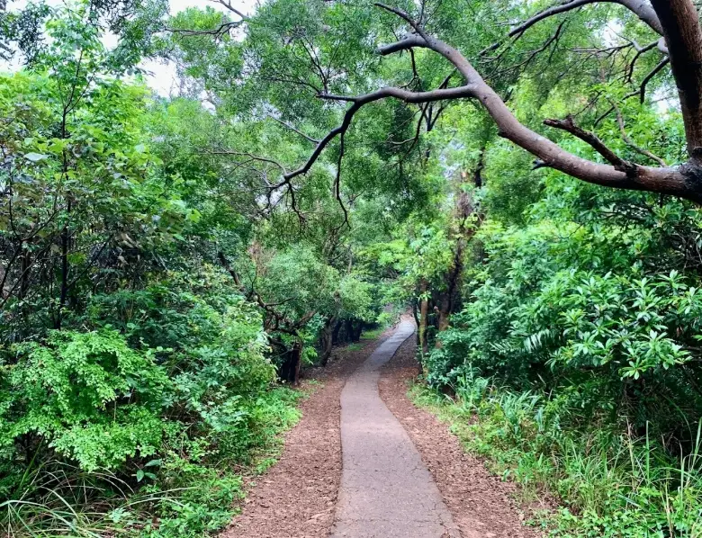 桃園私房景點 桃園私房景點
