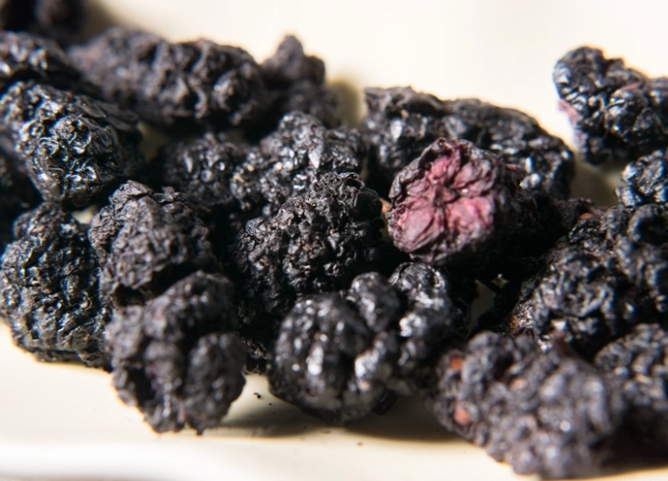 桑椹乾食用方法 桑椹乾食用方法