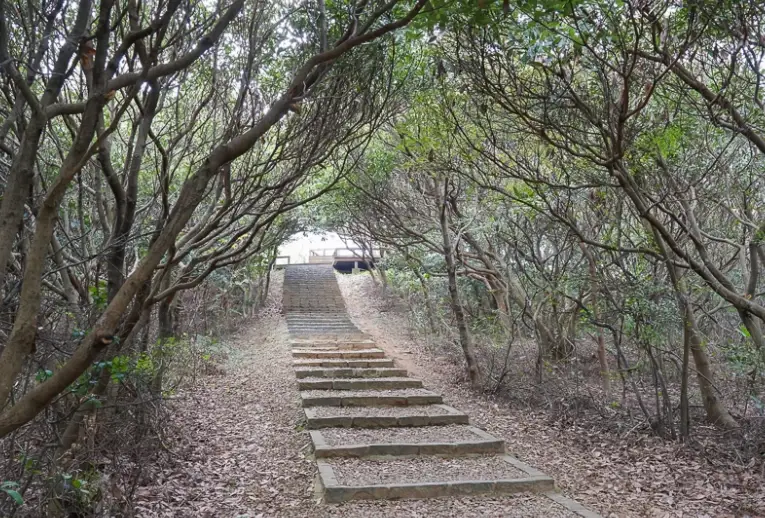 桃園秘境景點 桃園秘境景點