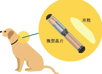 寵物晶片費用 寵物晶片費用