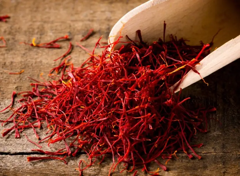 saffron 健康益處 saffron 健康益處