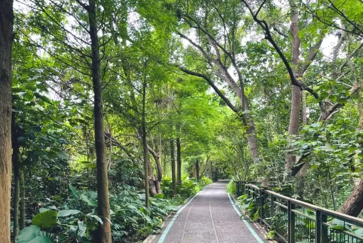 三秀園附近景點全攻略：雲林古坑私房路線、交通與必訪清單