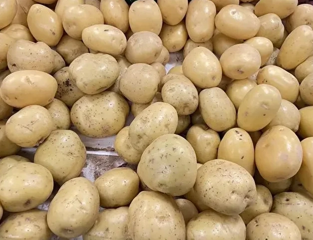 紅皮馬鈴薯 白皮馬鈴薯 區別 紅皮馬鈴薯 白皮馬鈴薯 區別