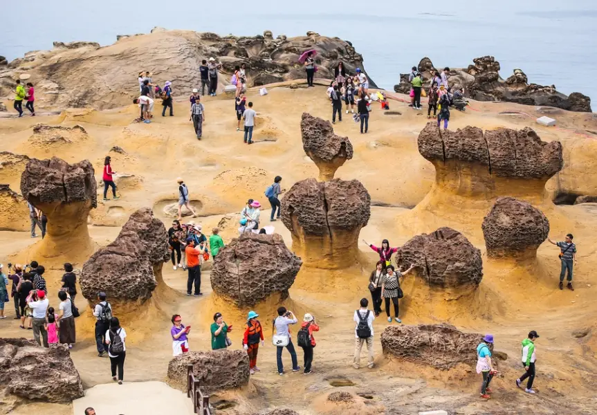 北海岸旅遊
