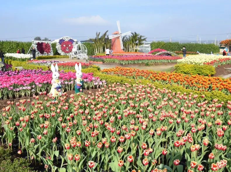 麗寶樂園 麗寶樂園